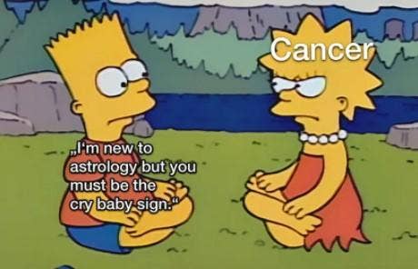 Best Cancer Zodiac Memes