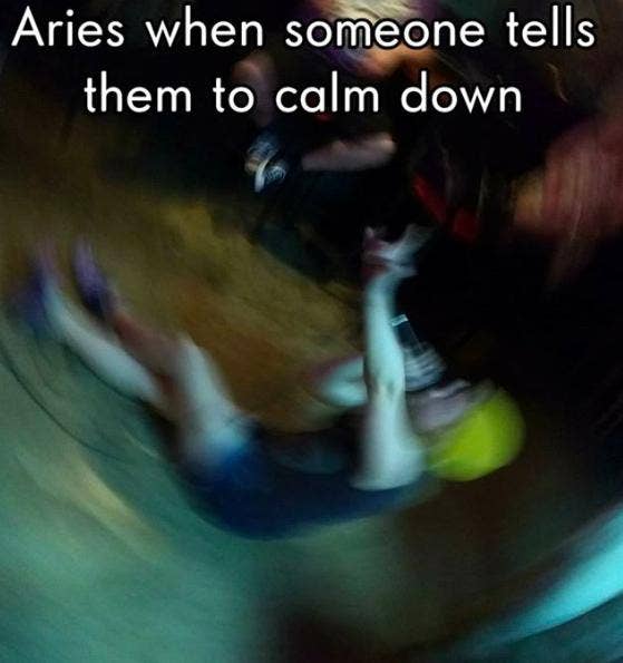 Best Aries Memes