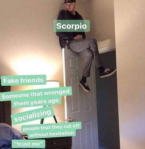 Best Scorpio Memes