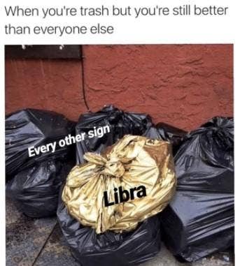 Best Libra Memes