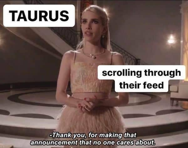 Best Taurus Memes