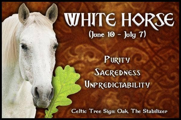  White Horse