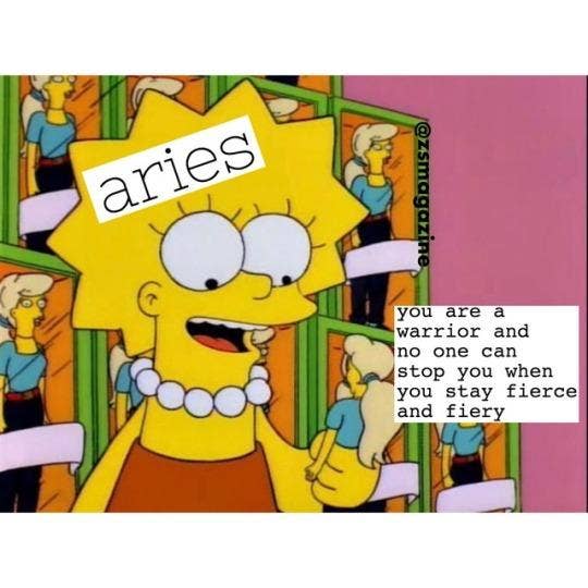 Best Aries Memes