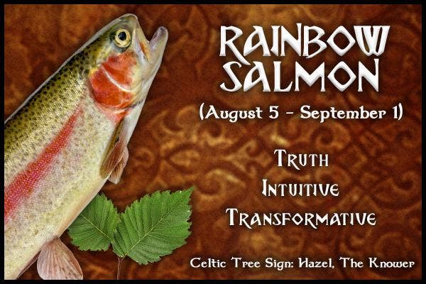  Rainbow Salmon
