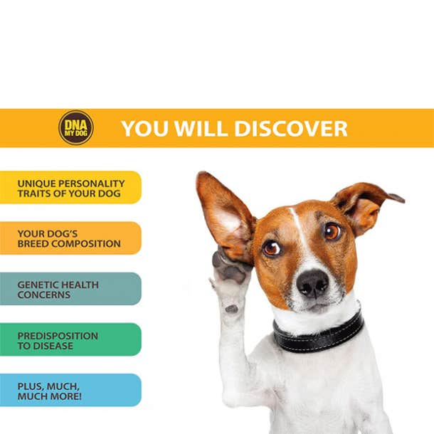 Dog DNA test kit