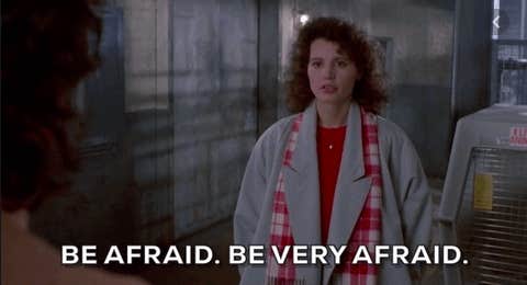 the fly tagline