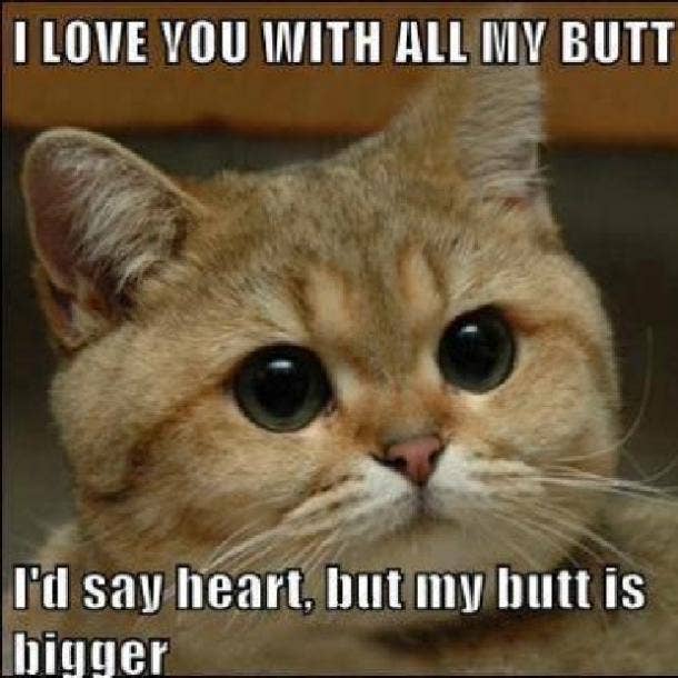 100 Cute Love Memes To Share With Your Sweetheart Yourtango