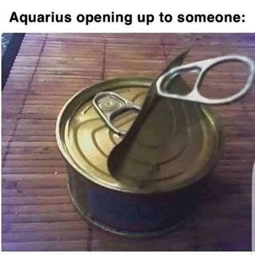 Best Aquarius Memes
