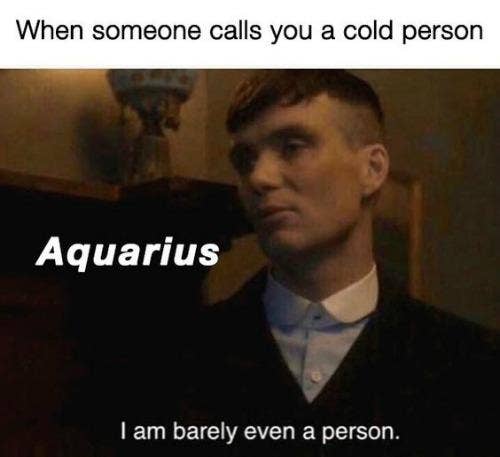 Best Aquarius Memes