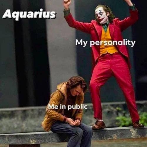 Best Aquarius Memes