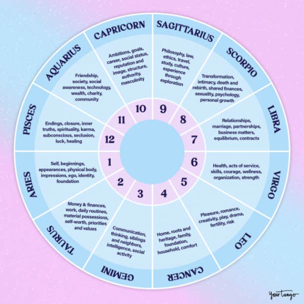 astrology houses wheel