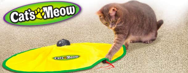 automatic cat toy