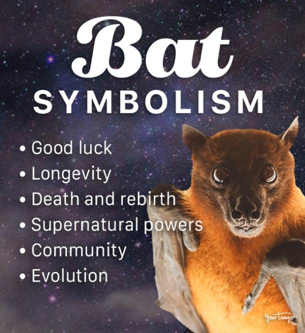 bat symbolism