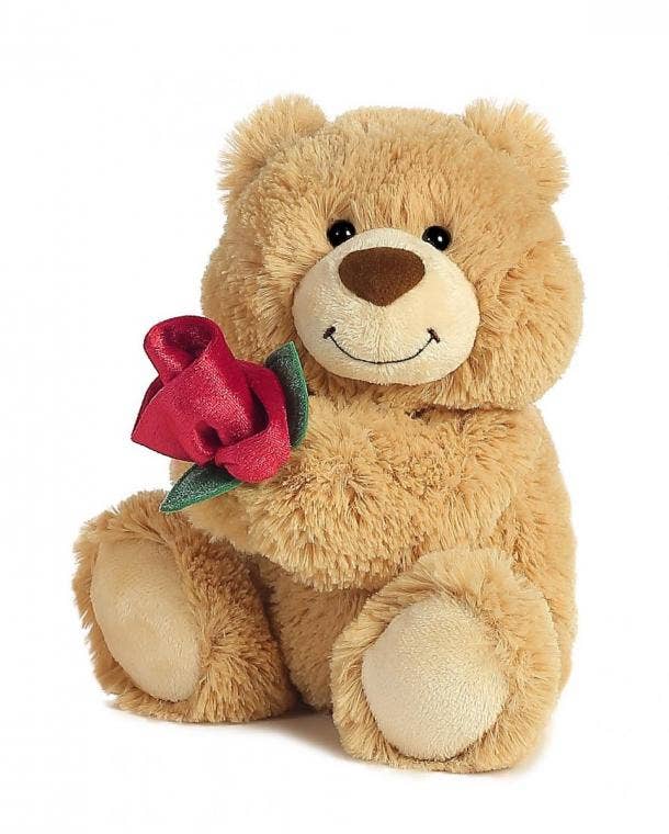 NEW Cute & Cuddly Gift Present Valentines Day Will You Marry Me Teddy Bear 