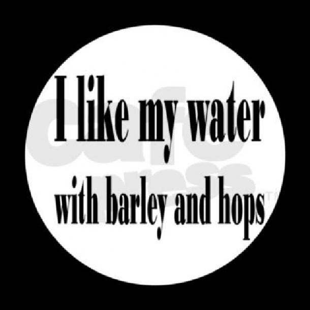 beer memes i like my water with hops