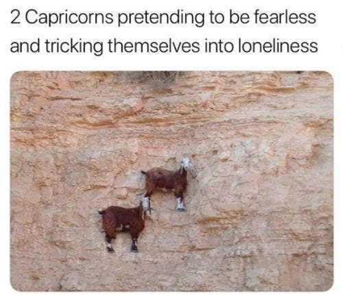 Best Capricorn Memes