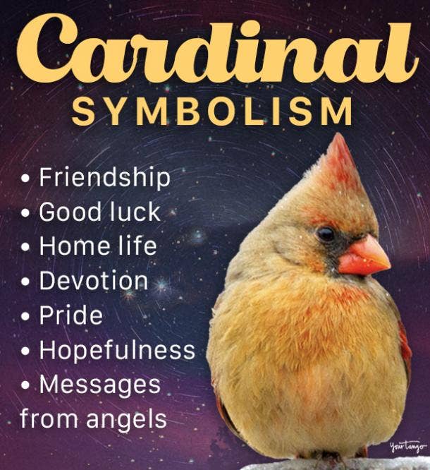 cardinal symbolism and meaning