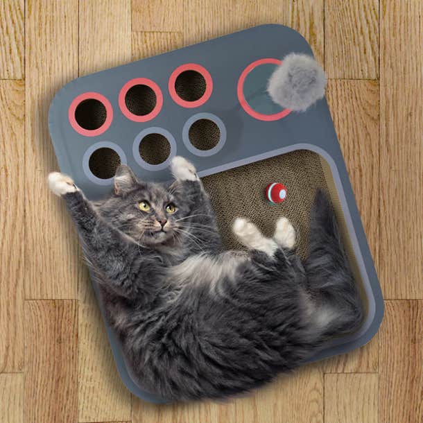 cheerable board game Cat Toys