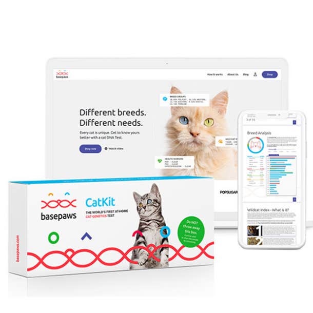 basepaws breed health dna cat genetics test