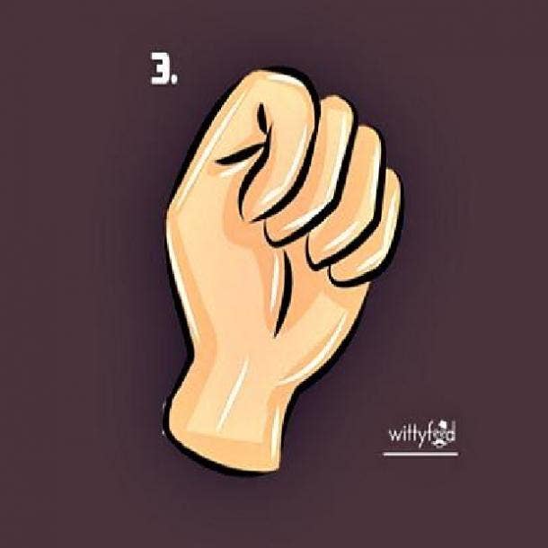 charmer fist