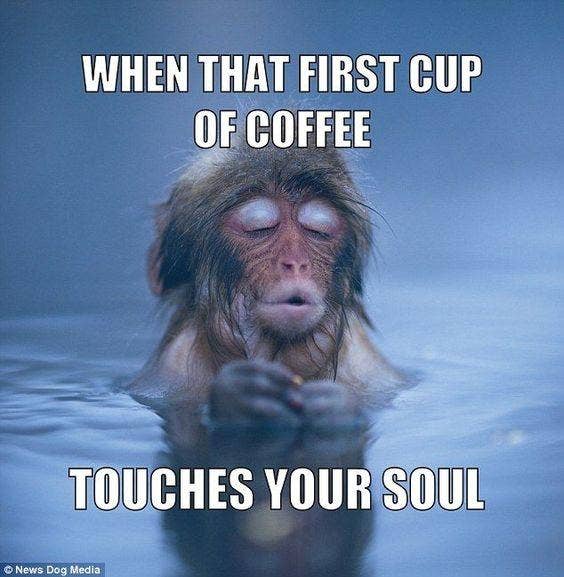 too much coffee meme