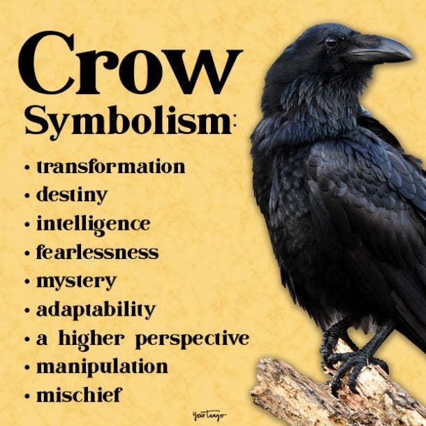 Crow Symbolism: The Spiritual Meaning Of Seeing Crows | YourTango