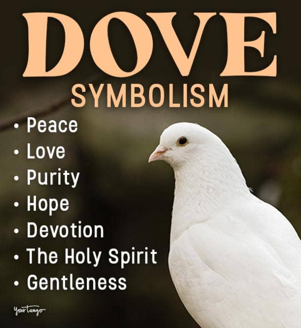 Dove Symbolism & Spiritual Meanings Of Dove Spirit Animal | YourTango