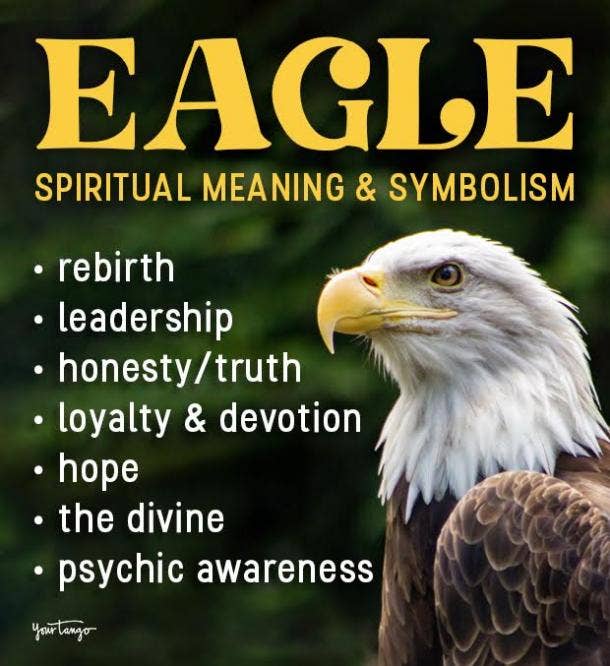 eagle symbolism and meanings