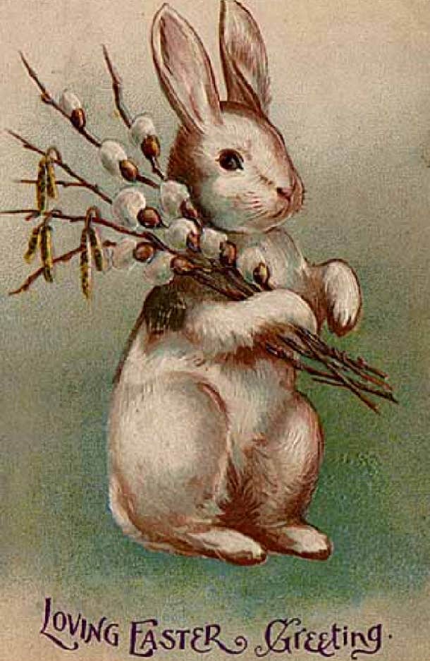 1907 Easter bunny postcard