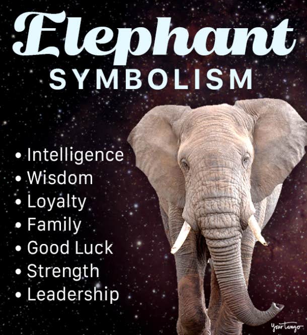 elephant symbolism