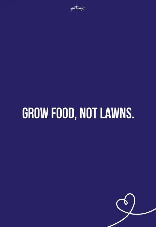 40 Best Environment Quotes To Inspire You To Save The Planet | YourTango