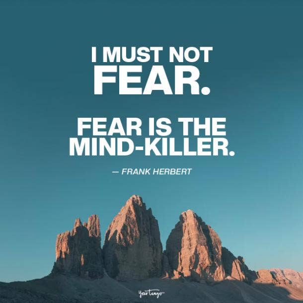 frank herbert fear quotes