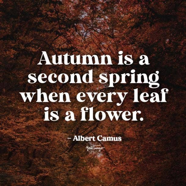 fall quotes