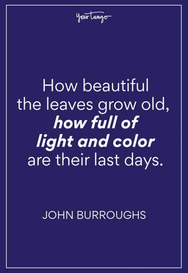 John Burroughs Fall Quote