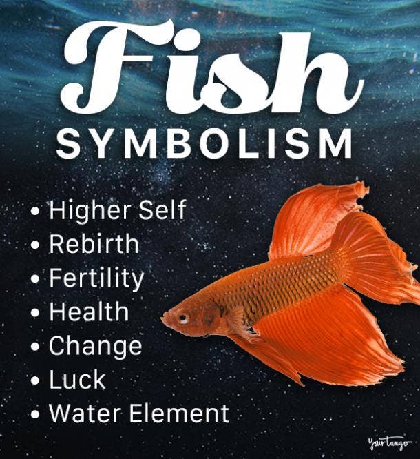 fish symbolism