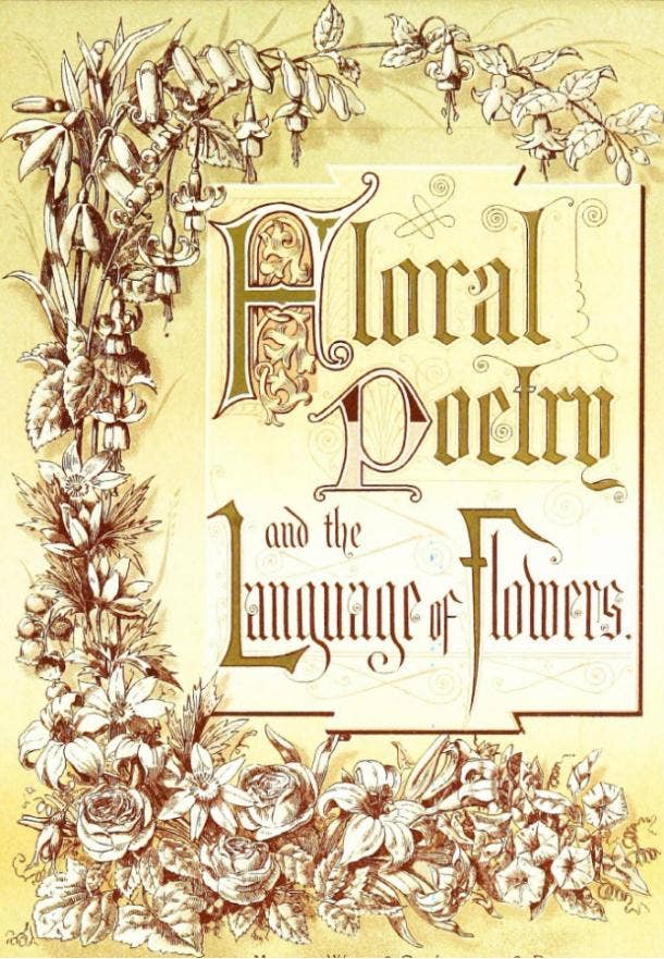floral poetry and the language of flowers