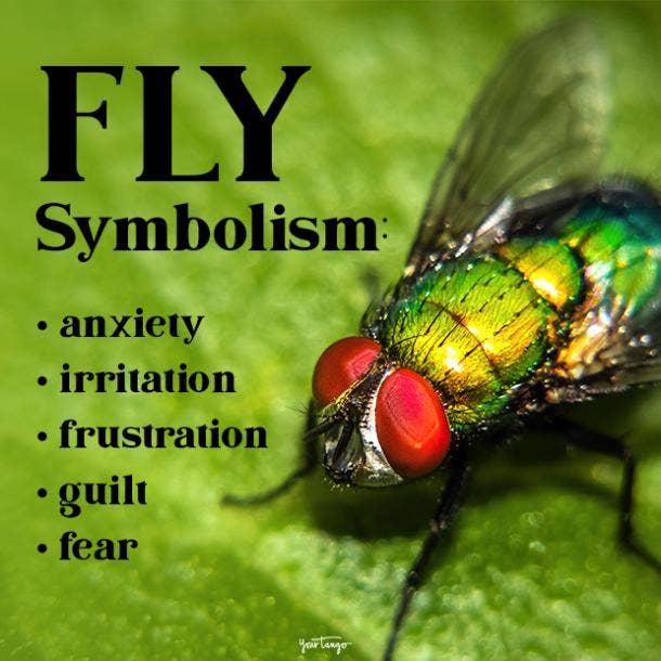 fly symbolism