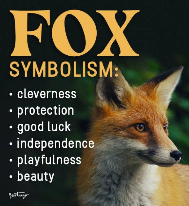 fox symbolism and meanings