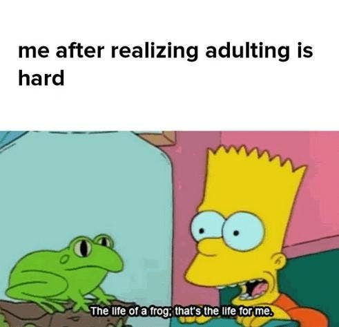 adulting emerging adults