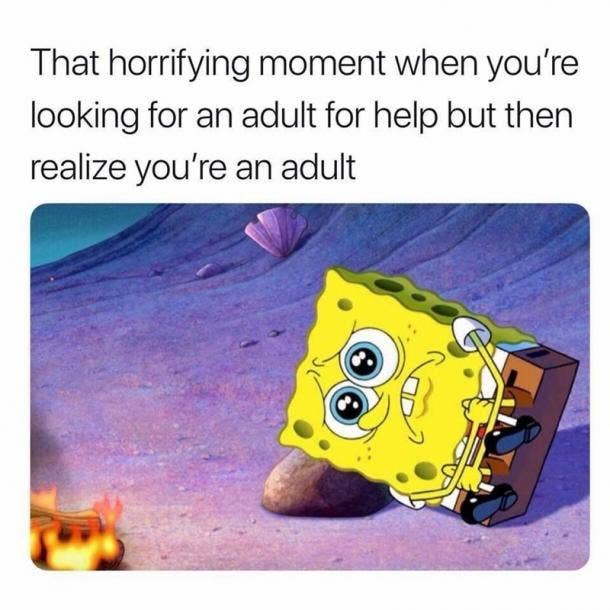 funny adulting memes