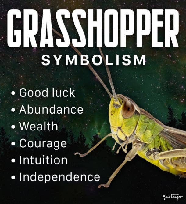 grasshopper spiritual meaning and symbolism