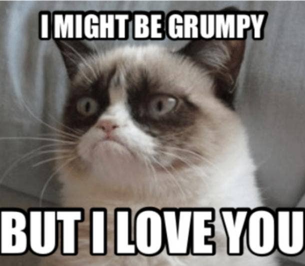 love meme grumpy cat