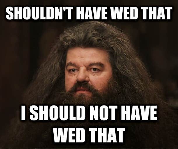 hagrid divorce meme