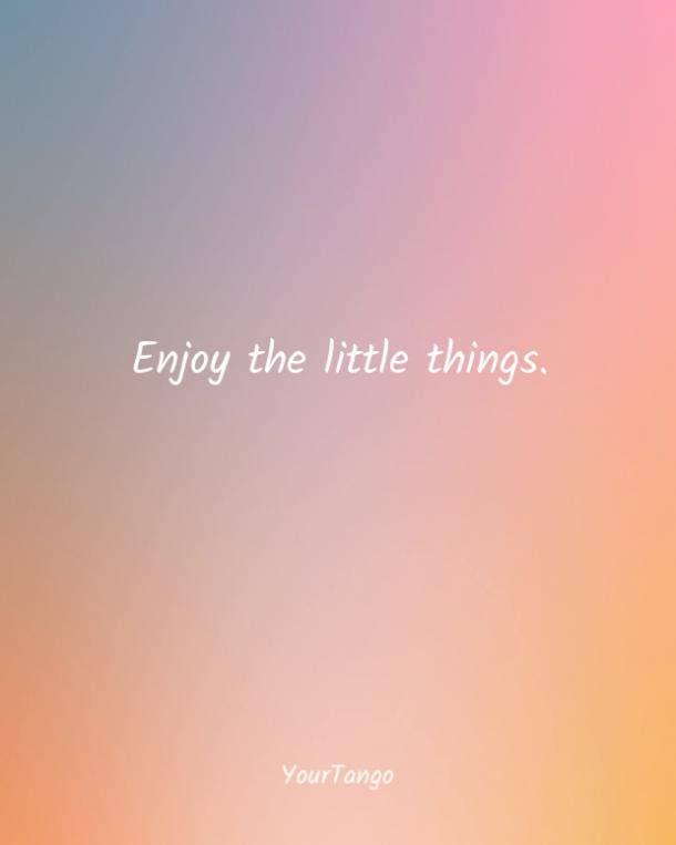 happiness quotes happiness quotes