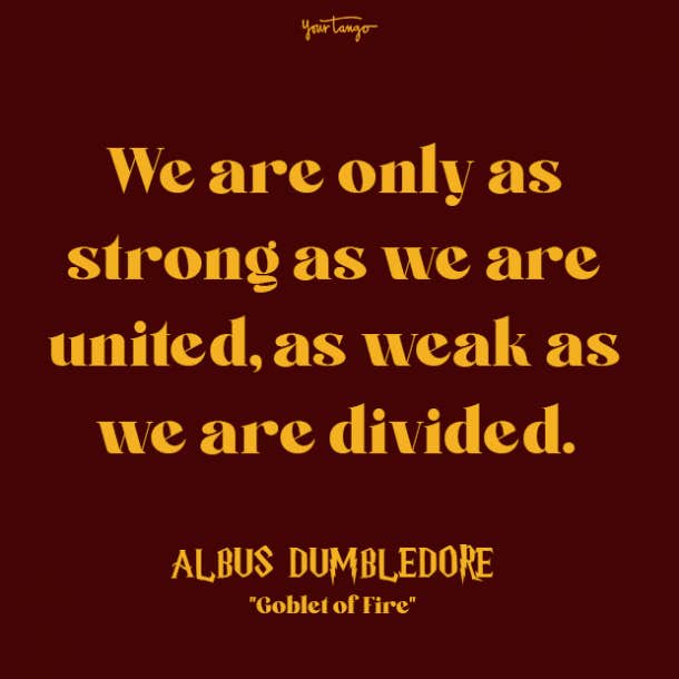albus dumbledore quote from harry potter