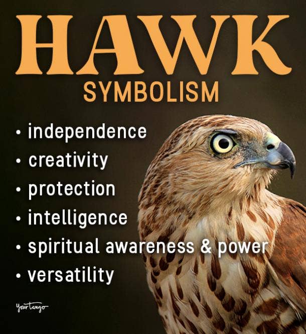 hawk symbolism and meanings