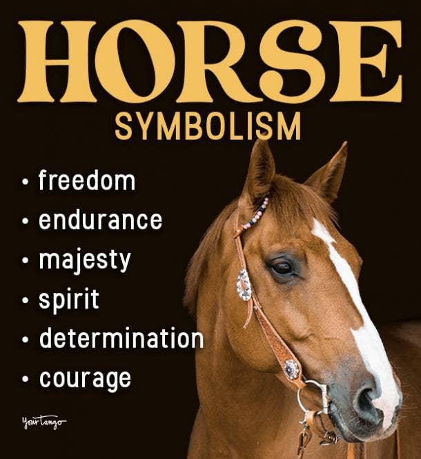 Horse Symbolism & Spiritual Meanings Of Horse Spirit Animal | YourTango