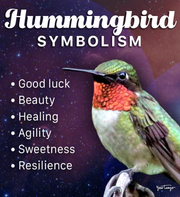 Hummingbird Symbolism & Spiritual Meanings Of A Hummingbird Spirit Animal |  YourTango