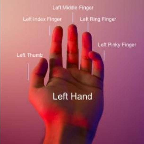 left hand fingers