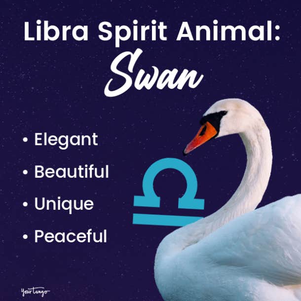 libra spirit animal swan